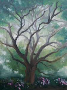 Tree-in-Daniel-Island-c