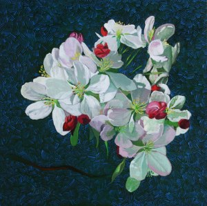 Cherry-blossom-12_31_15