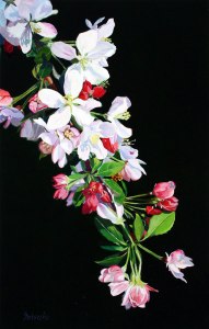 apple_flowers-2b